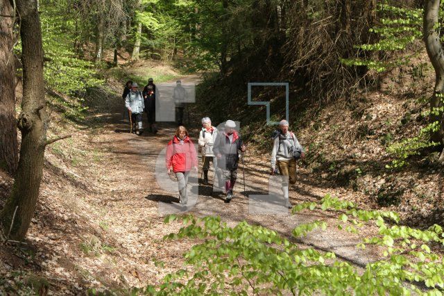 LG05_Wandern51_0164.JPG