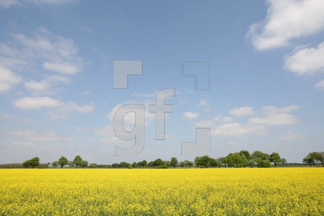 LG21_Raps01_0181.JPG