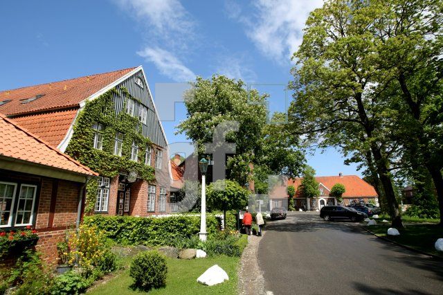LG25_Panker13_0159.JPG