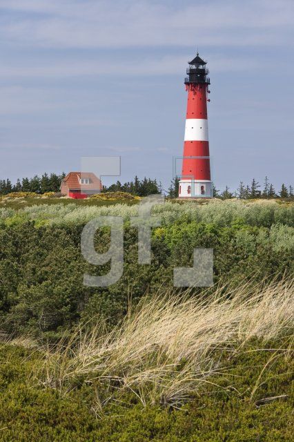 LH01_Sylt09_2208.jpg