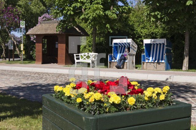 LH03_Sylt12_2275.jpg