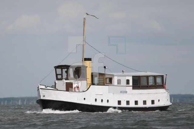 LH13_Libelle_0142.JPG