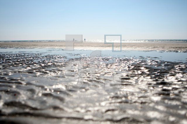 LH23_Nordsee55_0190.JPG