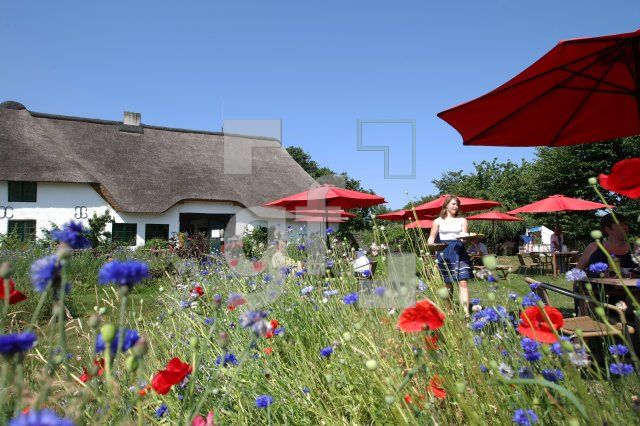 LI10_Hofcafe08_0187.JPG