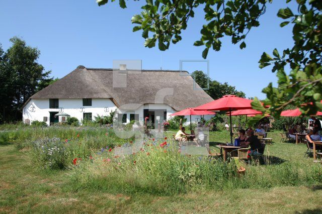 LI10_Hofcafe12_0167.JPG