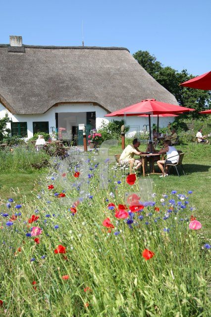 LI10_Hofcafe13_0165.JPG