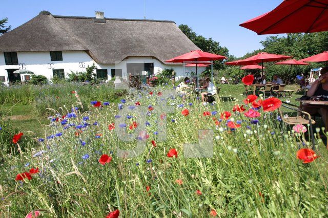 LI10_Hofcafe14_0163.JPG
