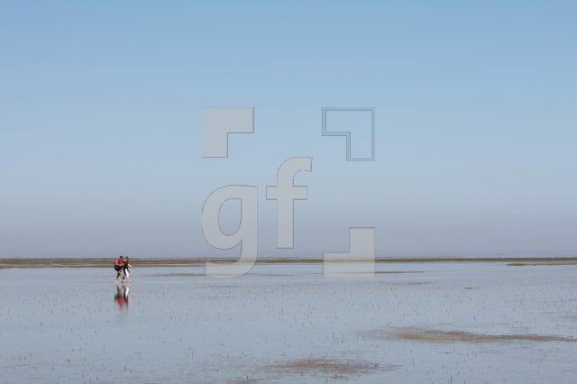 LI10_Watt01_0148.JPG