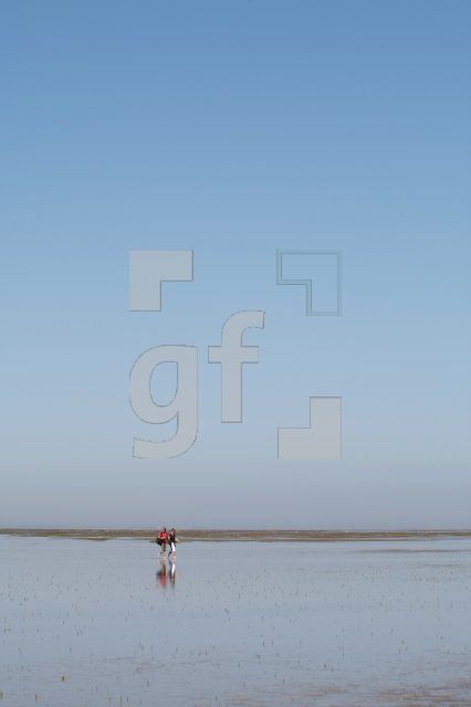 LI10_Watt02_0146.JPG