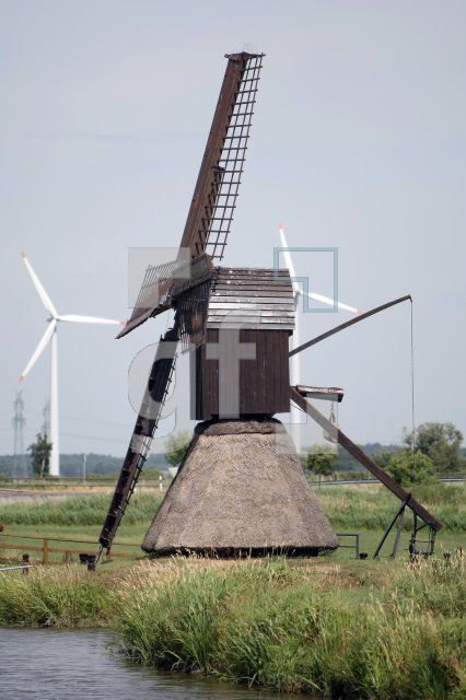 LI20_Honig07_0160.JPG
