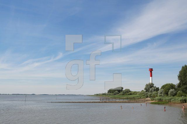 LI20_Kollmar01_0167.JPG