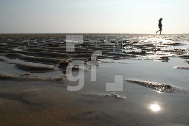 LK23_Watt11_0914.jpg
