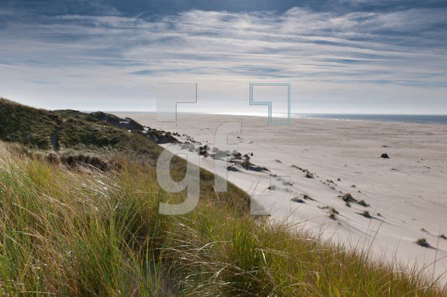 LL07_Amrum09_1304.jpg