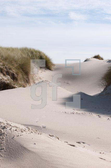 LL07_Amrum24_1304.jpg