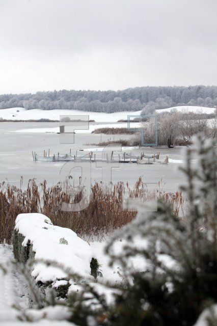 LN08_See01_0167.JPG
