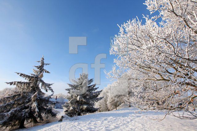 LN20_See13_0147.JPG