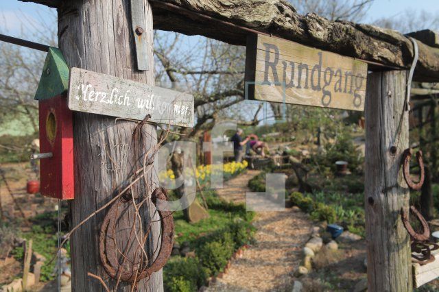 MF20_Garten25_0113.JPG
