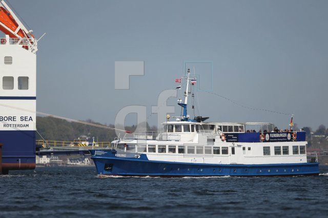 MF23_Viking_0131.JPG