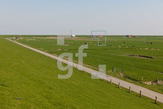 MF24_Pellworm47_1300.jpg