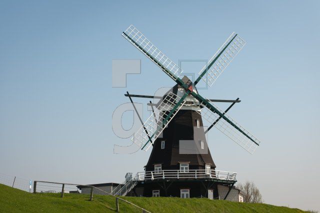 MF24_Pellworm52_1300.jpg