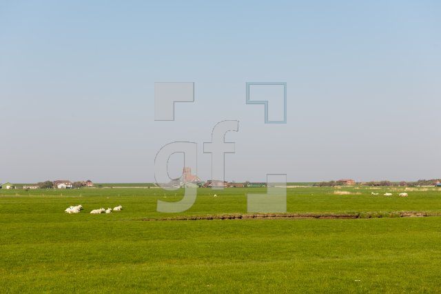 MF24_Pellworm76_1300.jpg