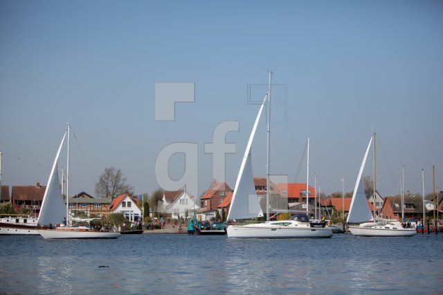 MF24_Schlei01_0120.JPG