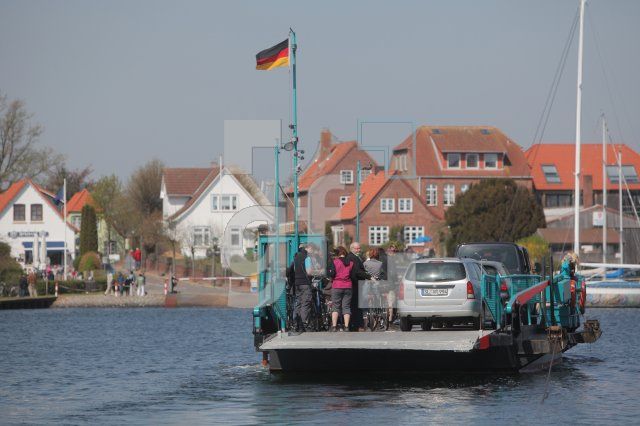 MF24_Schlei05_0126.JPG