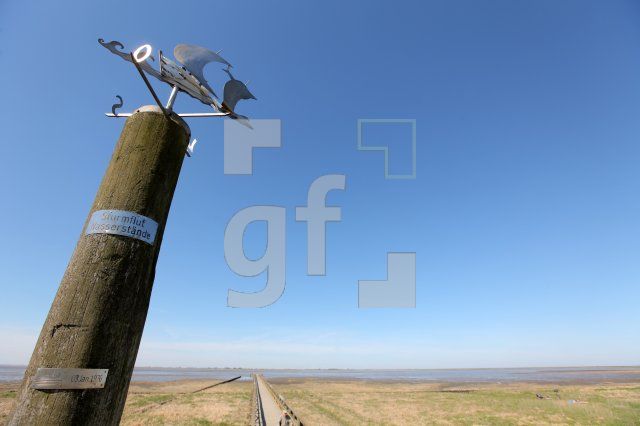 MG08_Flut08_0123.JPG