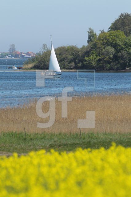 MG09_Schlei04_0145.JPG
