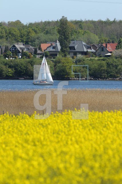 MG09_Schlei13_0102.JPG