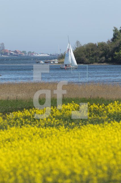 MG09_Schlei15_0188.JPG