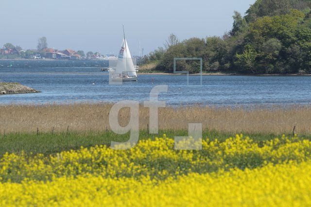 MG09_Schlei16_0186.JPG