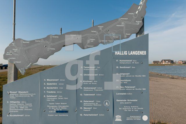 NF11_Langeness31_1300.jpg