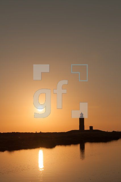 NF11_Langeness50_1300.jpg