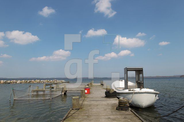 NF19_Bellin01_0113.JPG