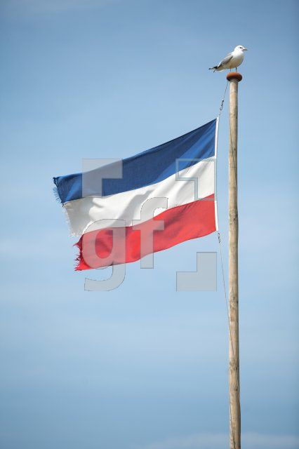 NG22_Flagge01_0164.JPG