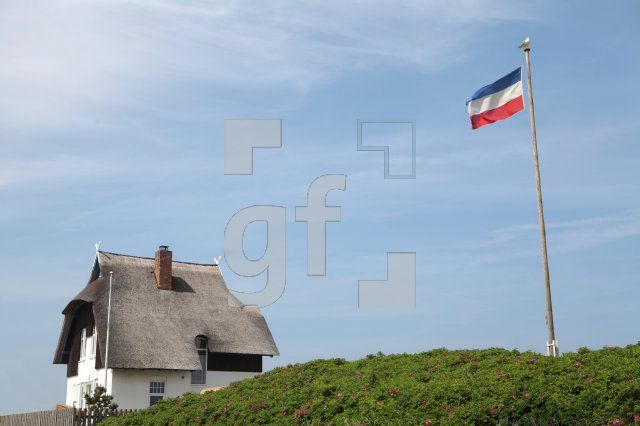 NG22_Flagge04_0111.JPG