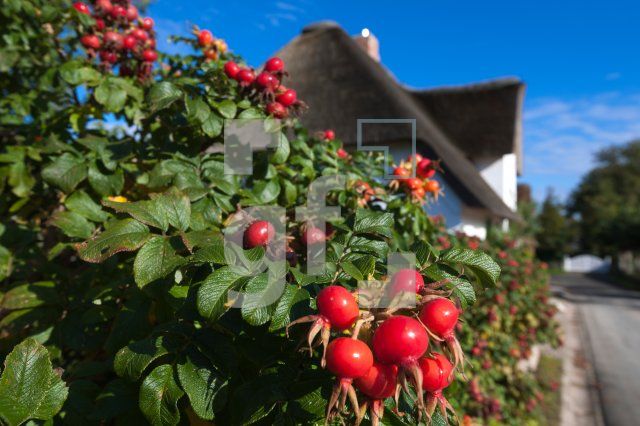 NL11_Foehr06_1300.jpg