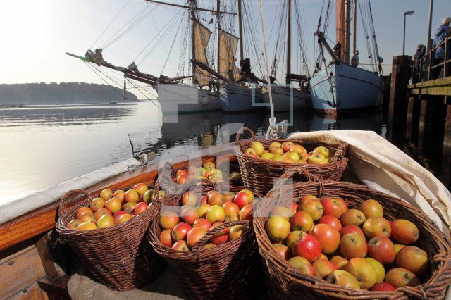 NL19_Apfel04_0170.JPG