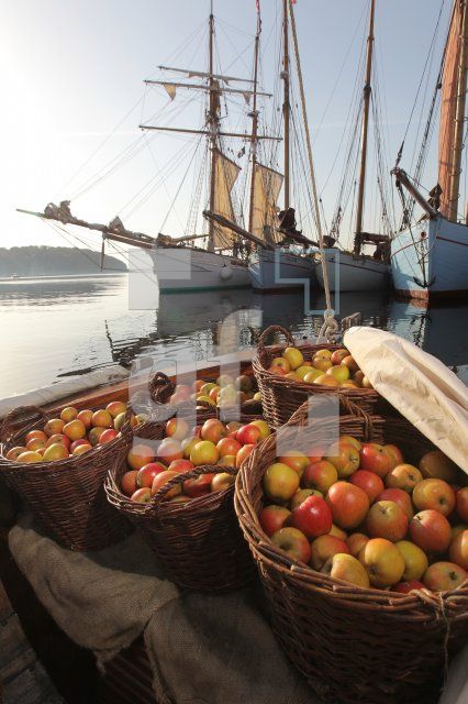 NL19_Apfel13_0165.JPG