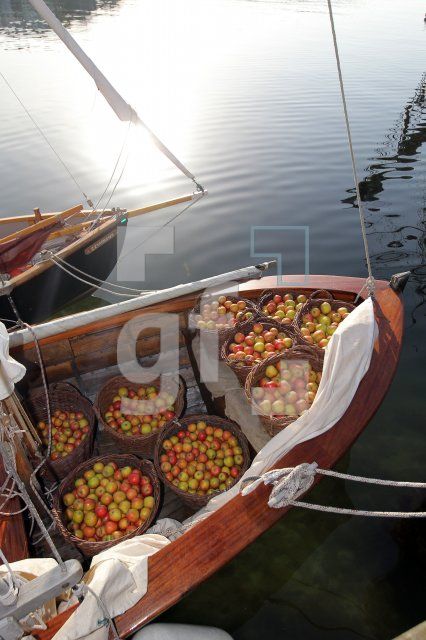 NL19_Apfel14_0128.JPG