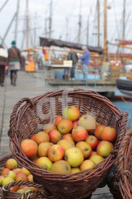 NL20_Apfel04_0132.JPG