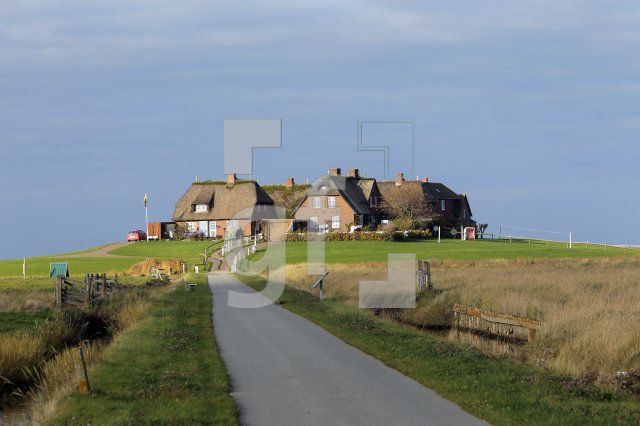NL24_Hooge45_0110.JPG