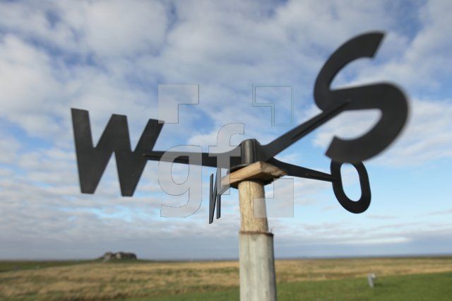 NL24_Hooge47_0117.JPG