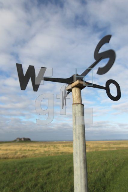 NL24_Hooge48_0126.JPG