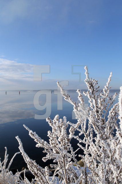 NN12_Winter30_0179.JPG