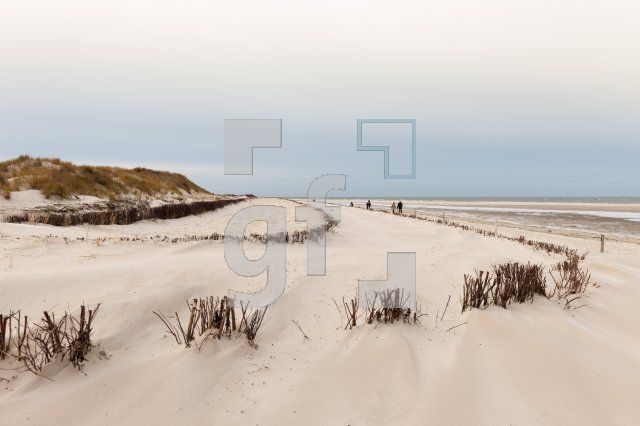 NN28_Amrum11_1300.jpg