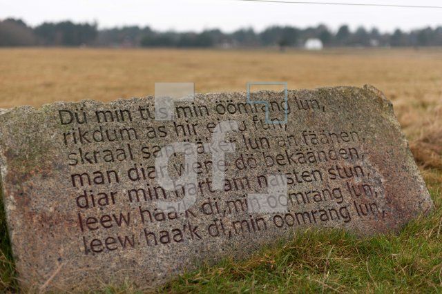 NN29_Amrum02_1300.jpg