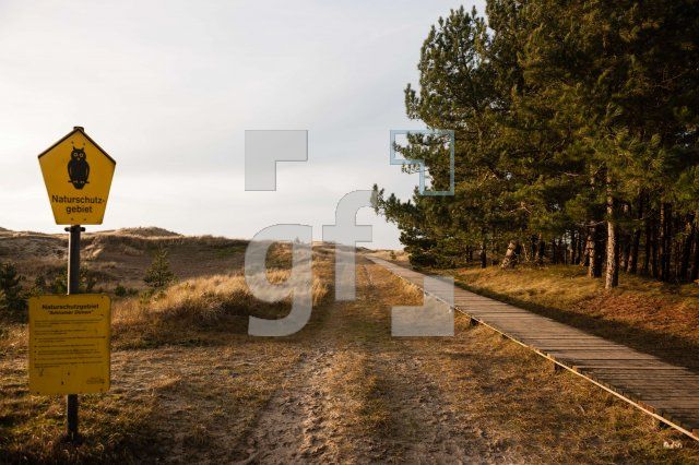 NN29_Amrum06_1300.jpg