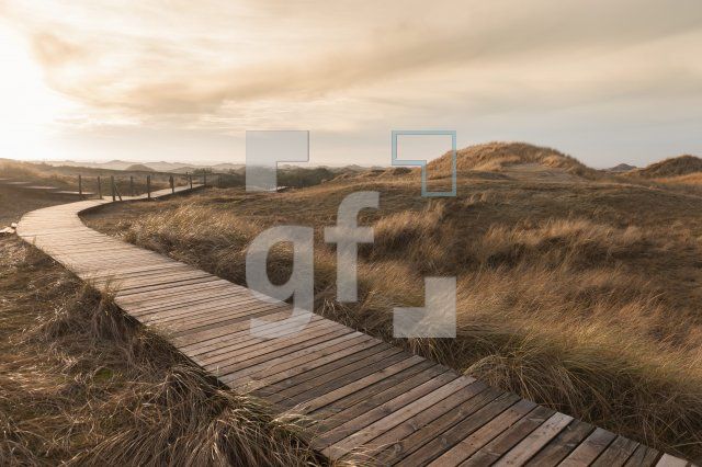 NN29_Amrum07_1300.jpg